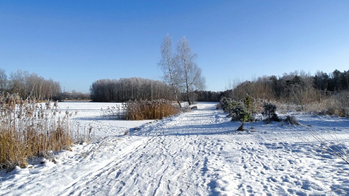 Зимний пейзаж (репортаж из зимней деревни). - Милешкин Владимир Алексеевич Зимний пейзаж (репортаж из зимней деревни). - Милешкин Владимир Алексеевич