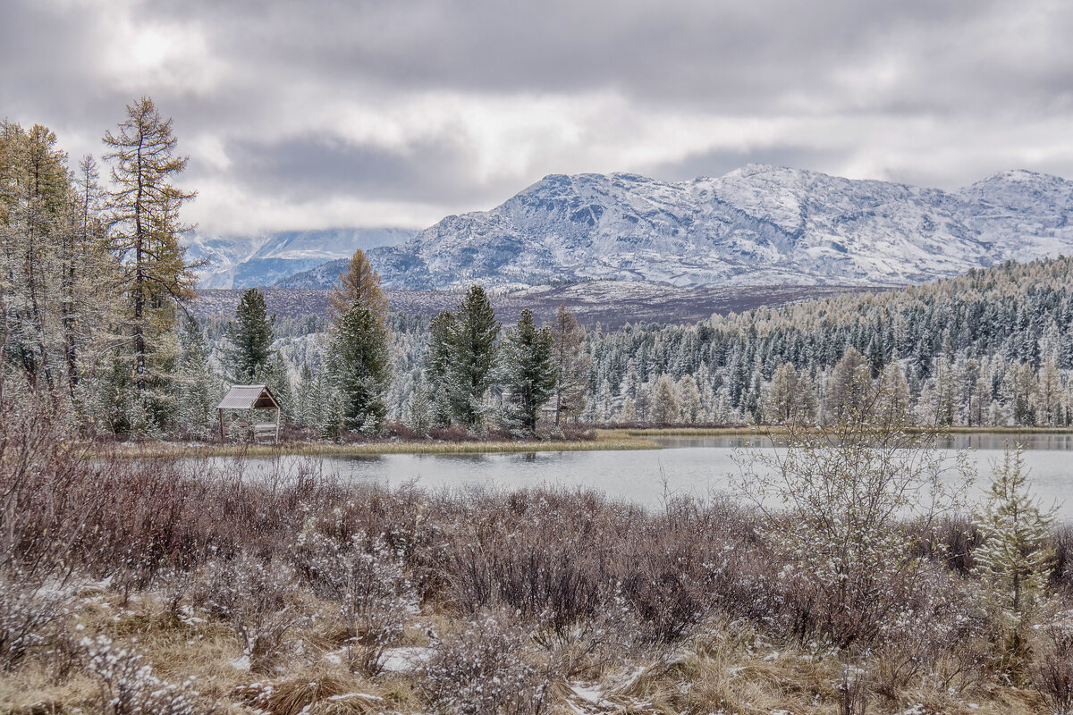 *** - Марина Юдинских *** - Марина Юдинских