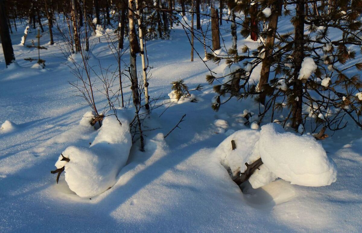 Февраль...Снежные фигуры! - Владимир 