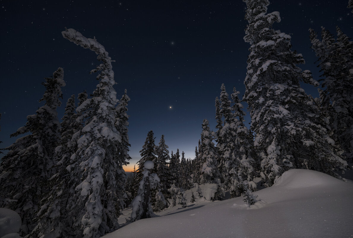 * - Александр Иванов * - Александр Иванов