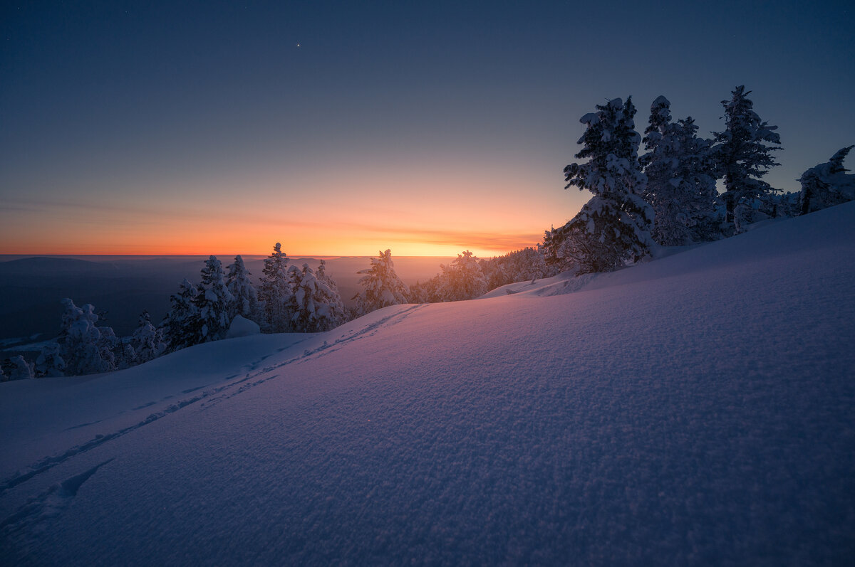 * - Александр Иванов * - Александр Иванов