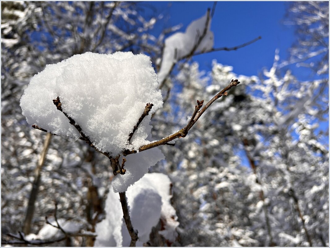 Февраль. - Валерия Комова
