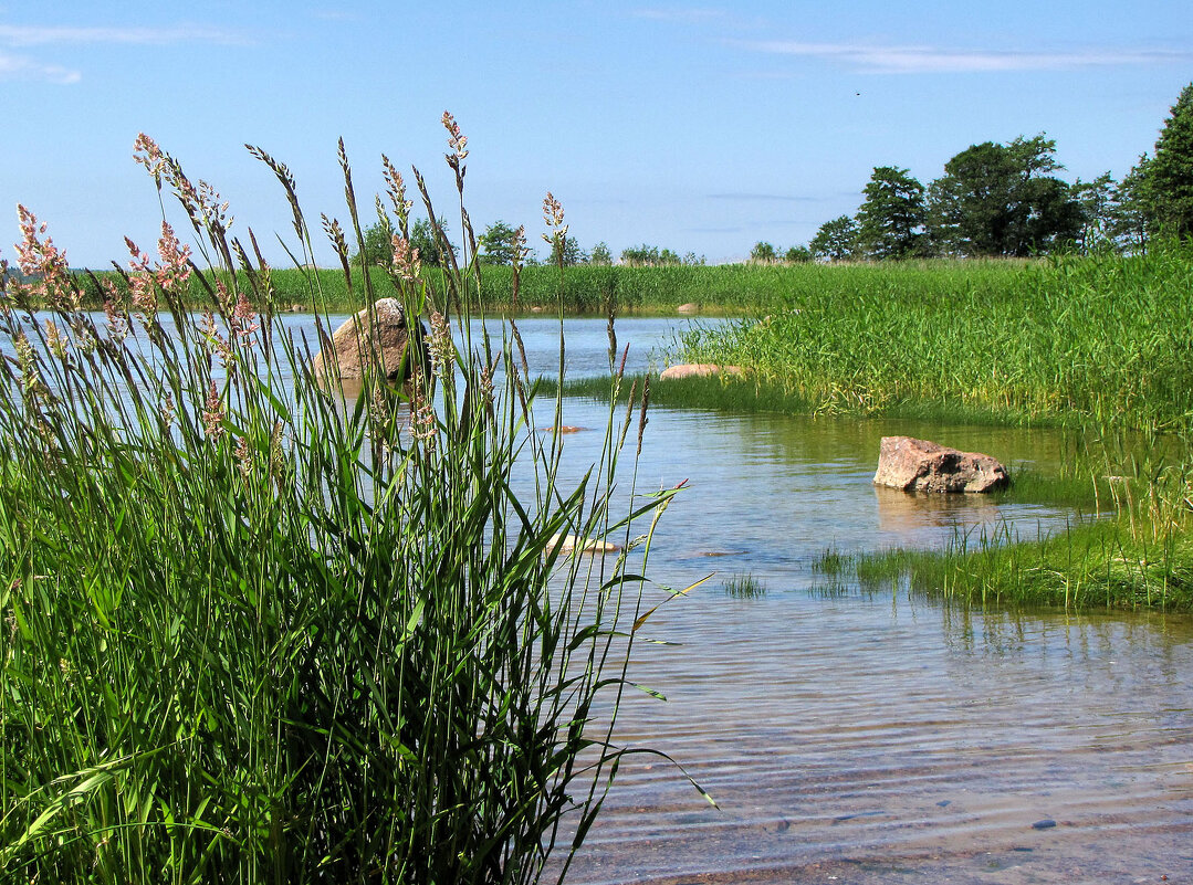 На заливе - Александр Ильчевский На заливе - Александр Ильчевский