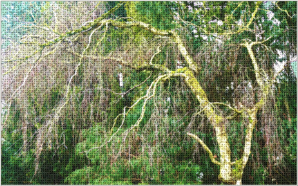 ЭТЮД... - Elvira E. 