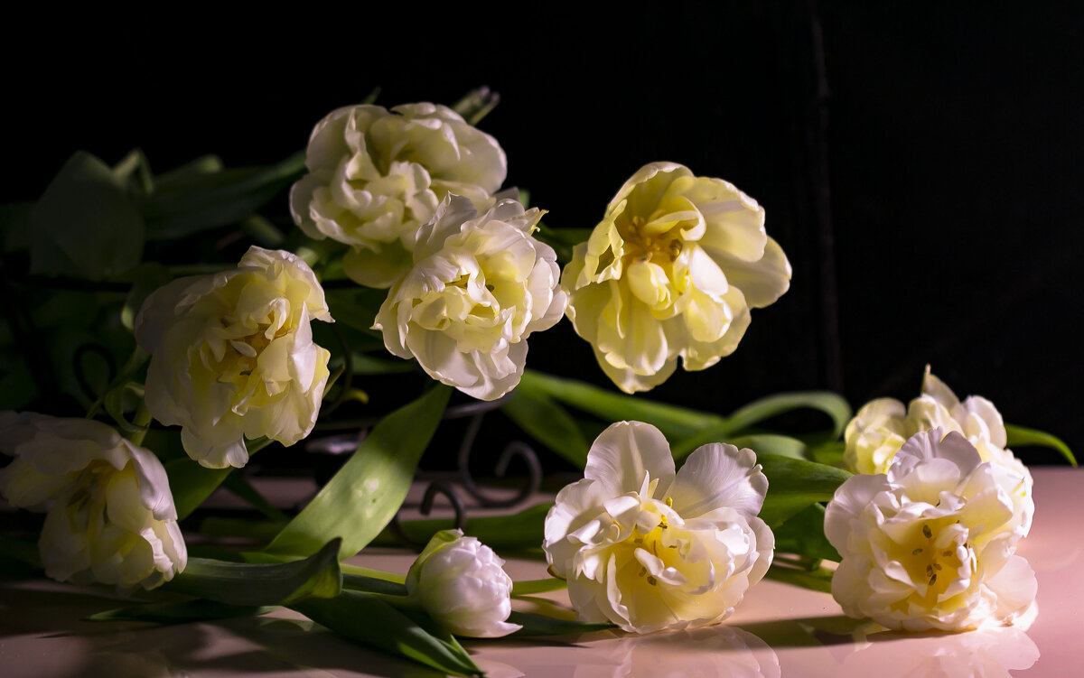 желтые тюльпаны - Наталья Крюкова желтые тюльпаны - Наталья Крюкова