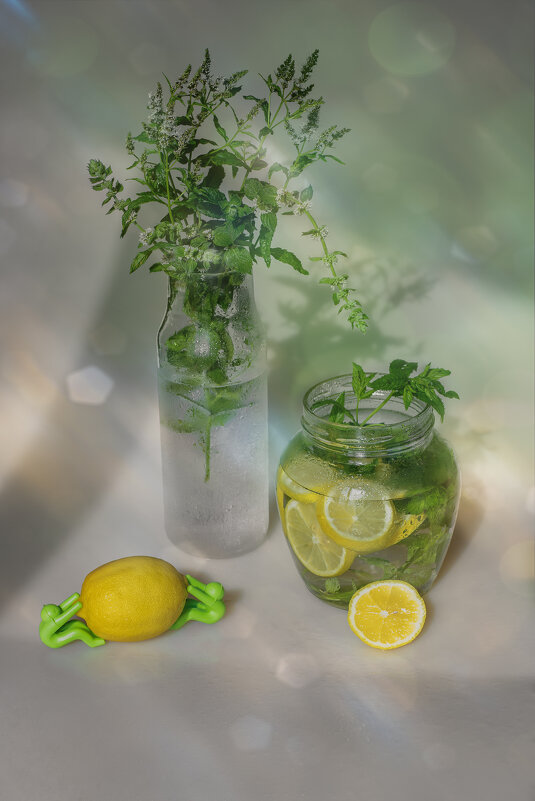 Вода с лимоном - Светлана Карнаух Вода с лимоном - Светлана Карнаух