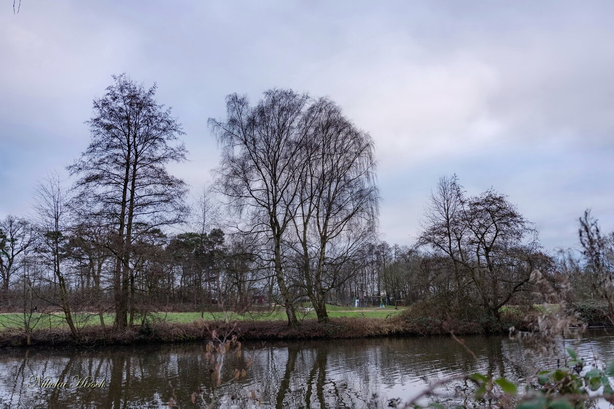 *** - Николай Гирш