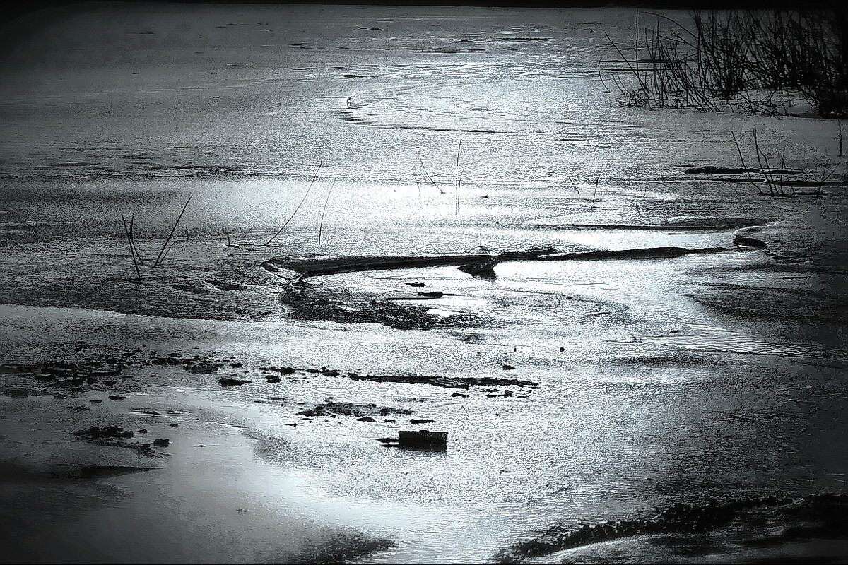 На Нерли... - Владимир Шошин На Нерли... - Владимир Шошин