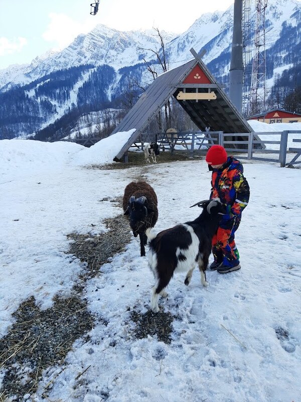 КРАСНАЯ ПОЛЯНА. ФЕВРАЛЬ 2025 - Tata Wolf