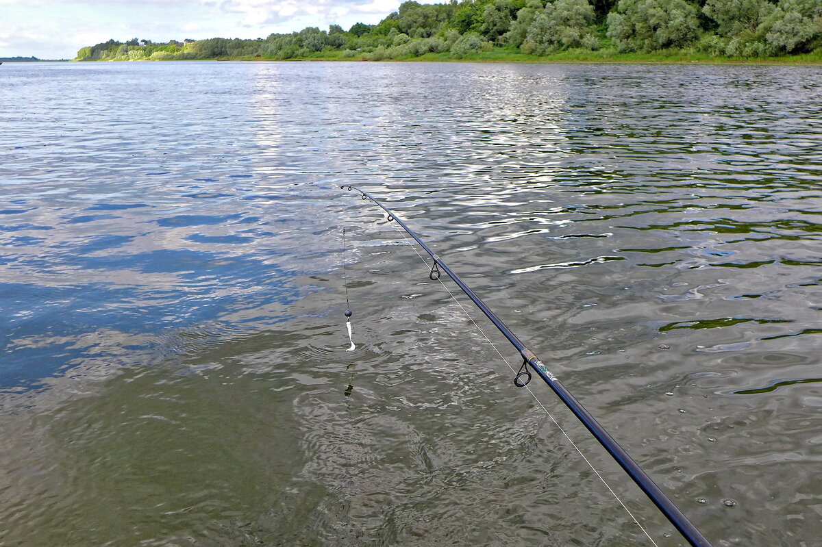 Поймать судака - Валерий Судачок Поймать судака - Валерий Судачок