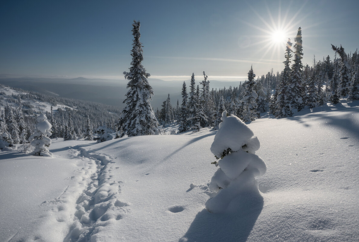 * - Александр Иванов * - Александр Иванов
