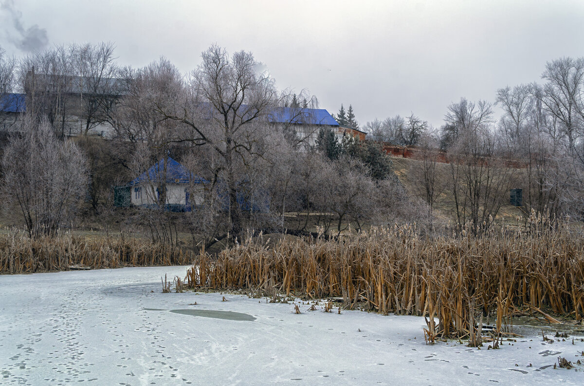 Камыши - Сергей Цветков Камыши - Сергей Цветков