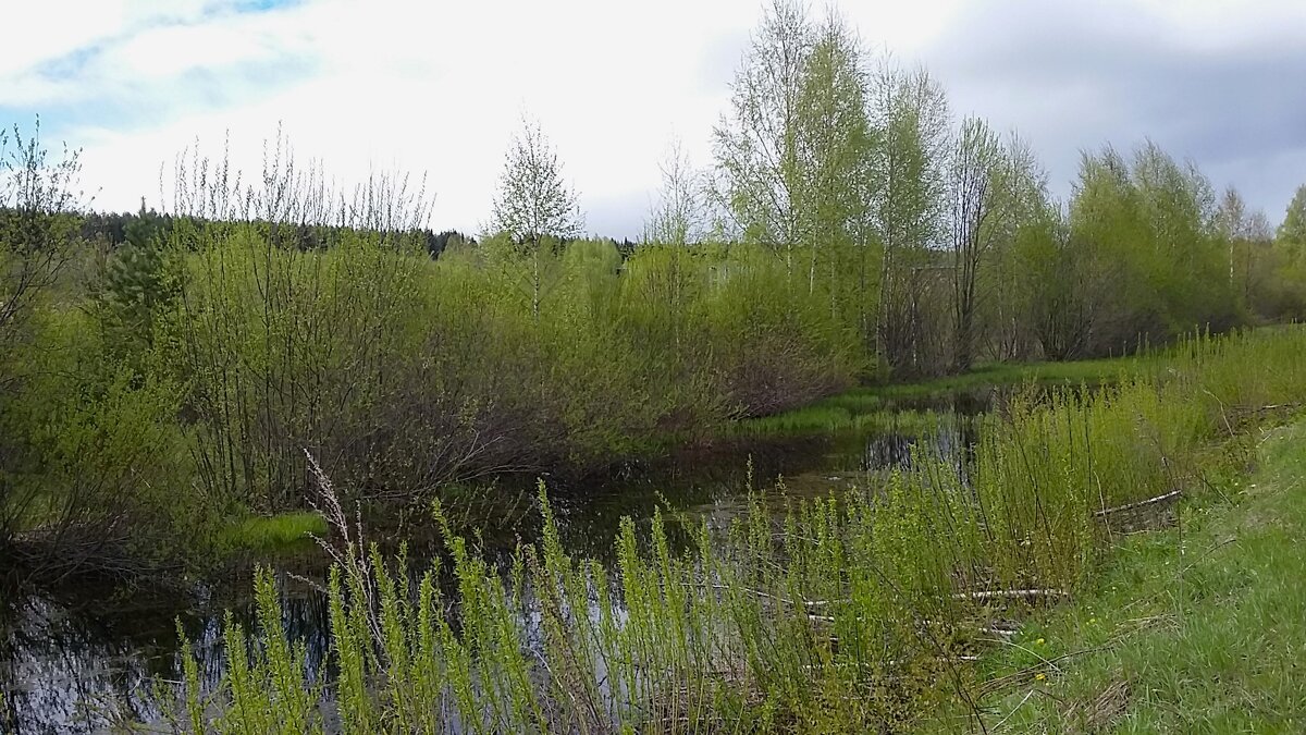 ***природы пробуждение*** - Olga Oskolkova