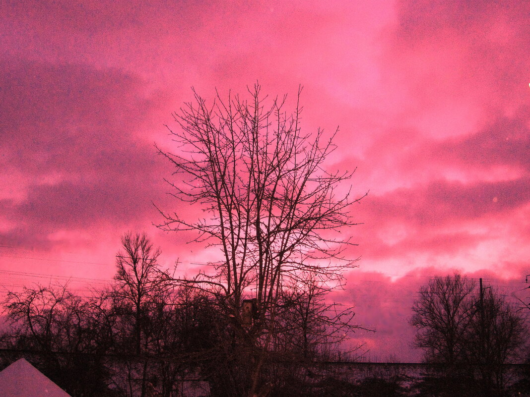 Яркий вечер - Людмила Смородинская Яркий вечер - Людмила Смородинская