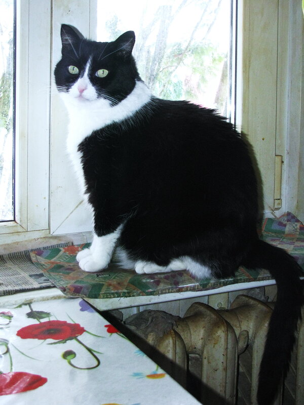 А мне уже десять лет - Людмила Смородинская