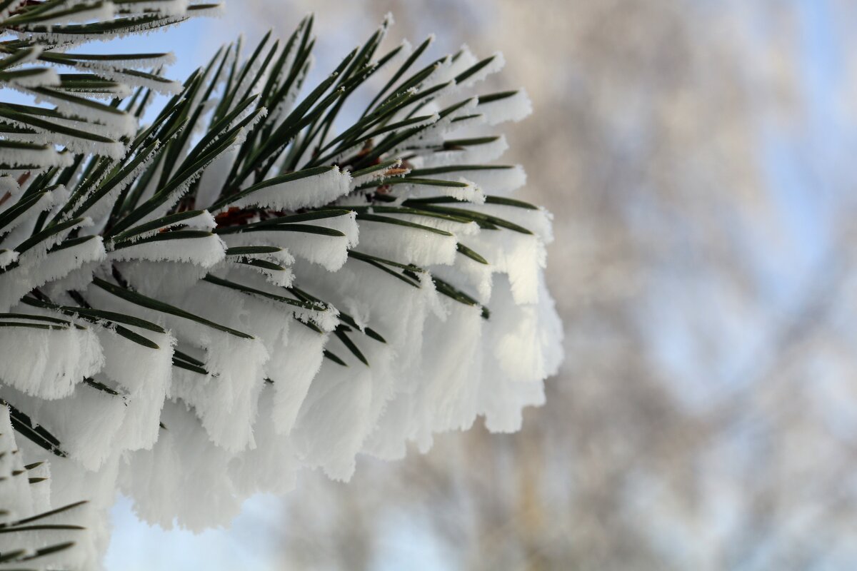 Нарядная - Ольга Нарядная - Ольга