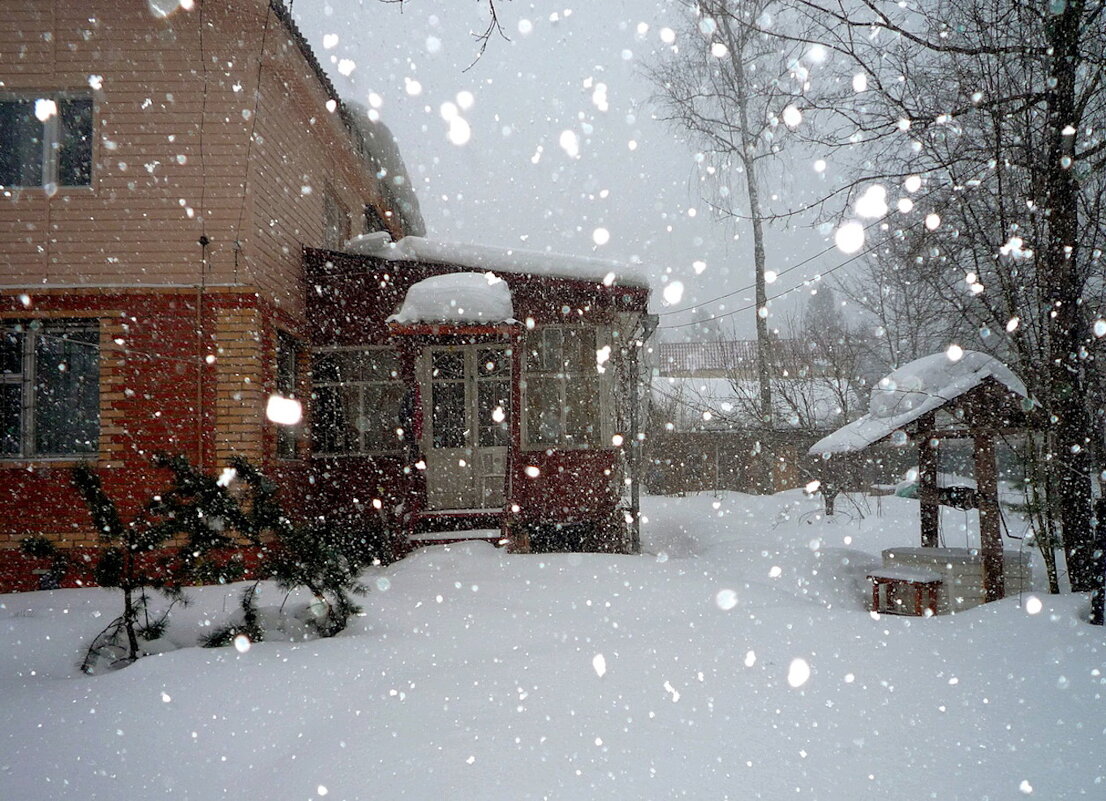Снегопад - Ольга Довженко Снегопад - Ольга Довженко
