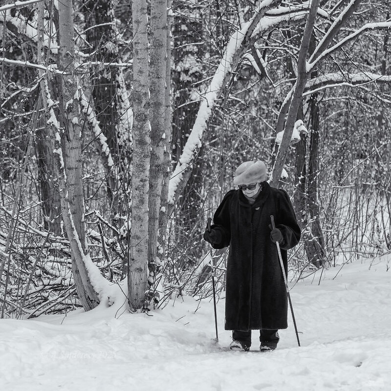 Неспешная прогулка - Александр Синдерёв Неспешная прогулка - Александр Синдерёв