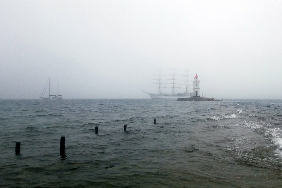 Вышел месяц из тумана..... - red-cat.25 red-cat.25