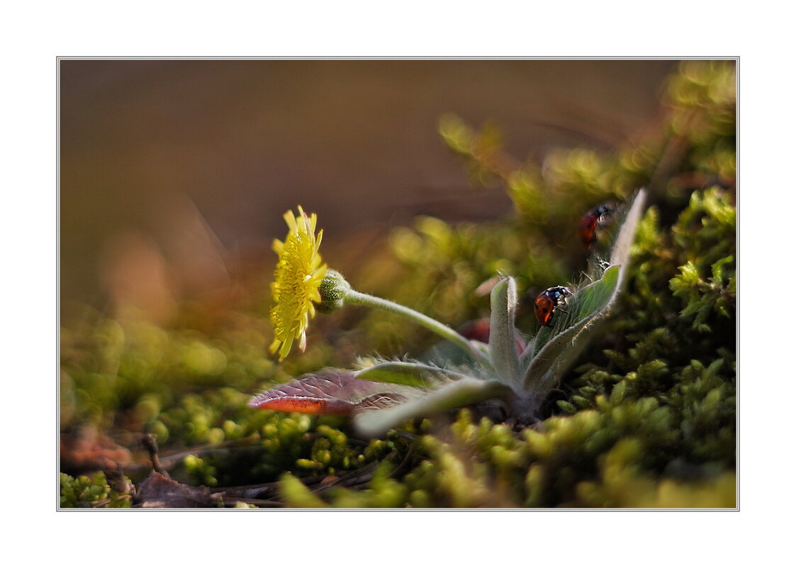 *** - Art __ *** - Art __