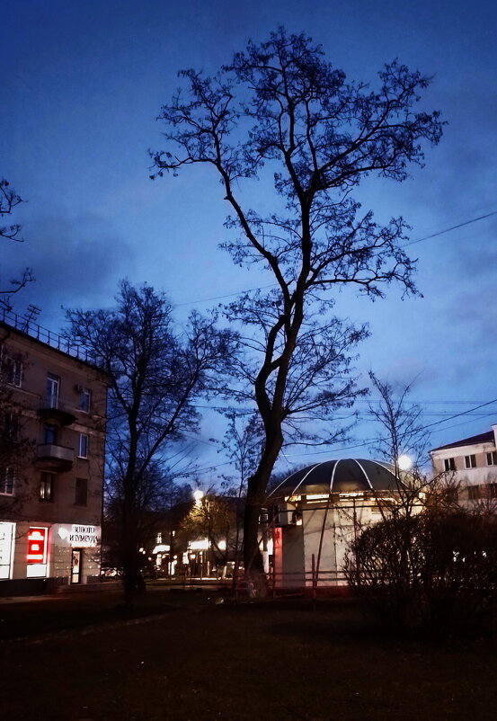 *** - Валентина Береснева