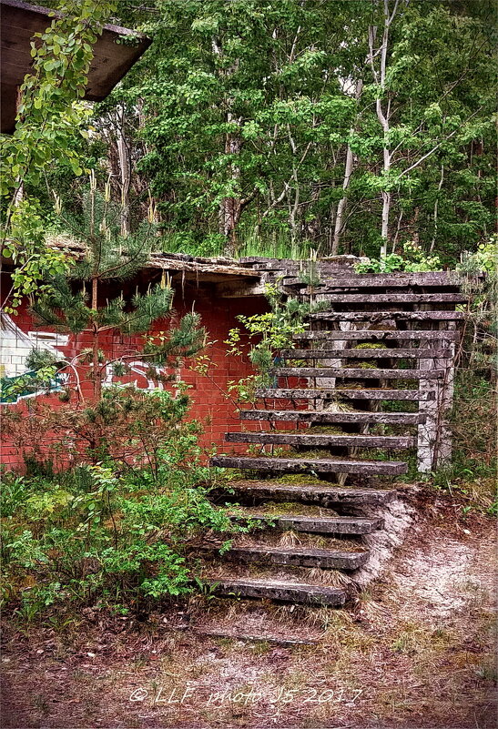 Развалины - Liudmila LLF