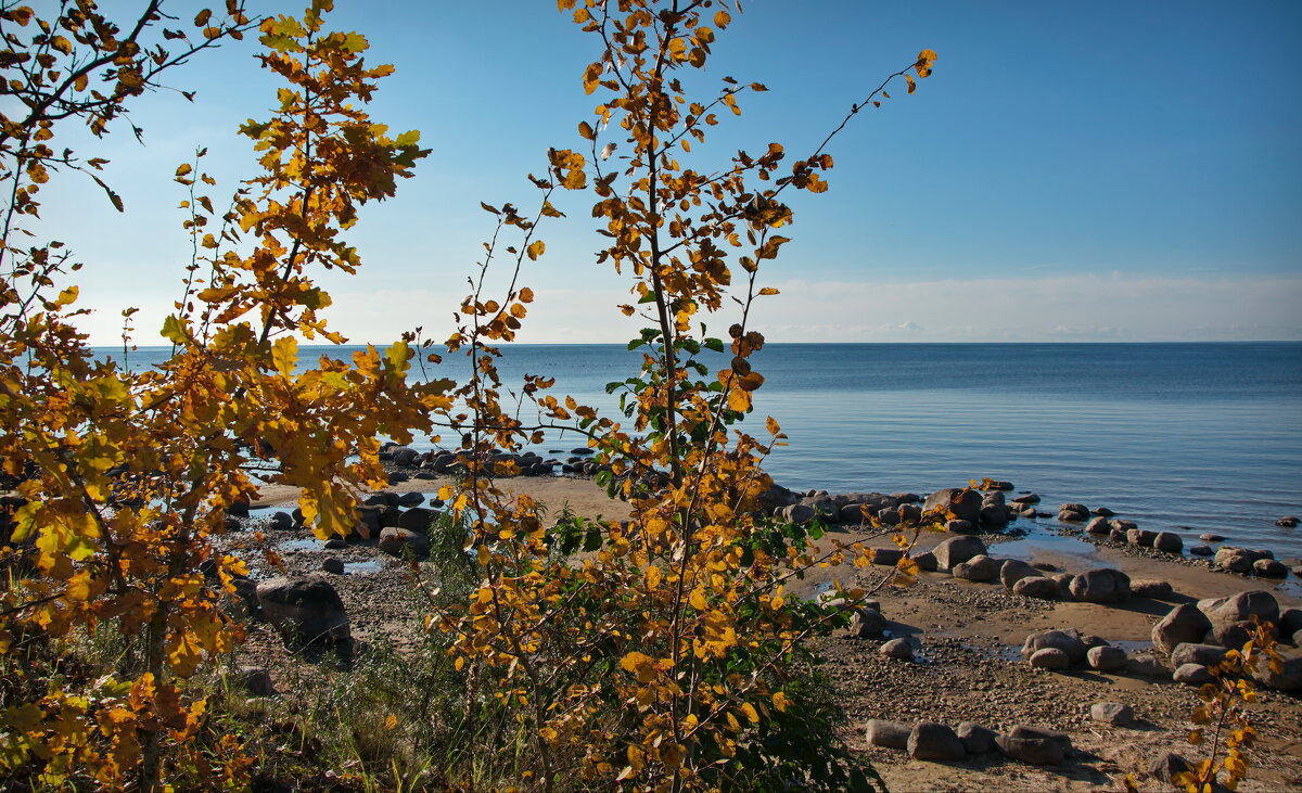 Желтеет листва - lady v.ekaterina Желтеет листва - lady v.ekaterina