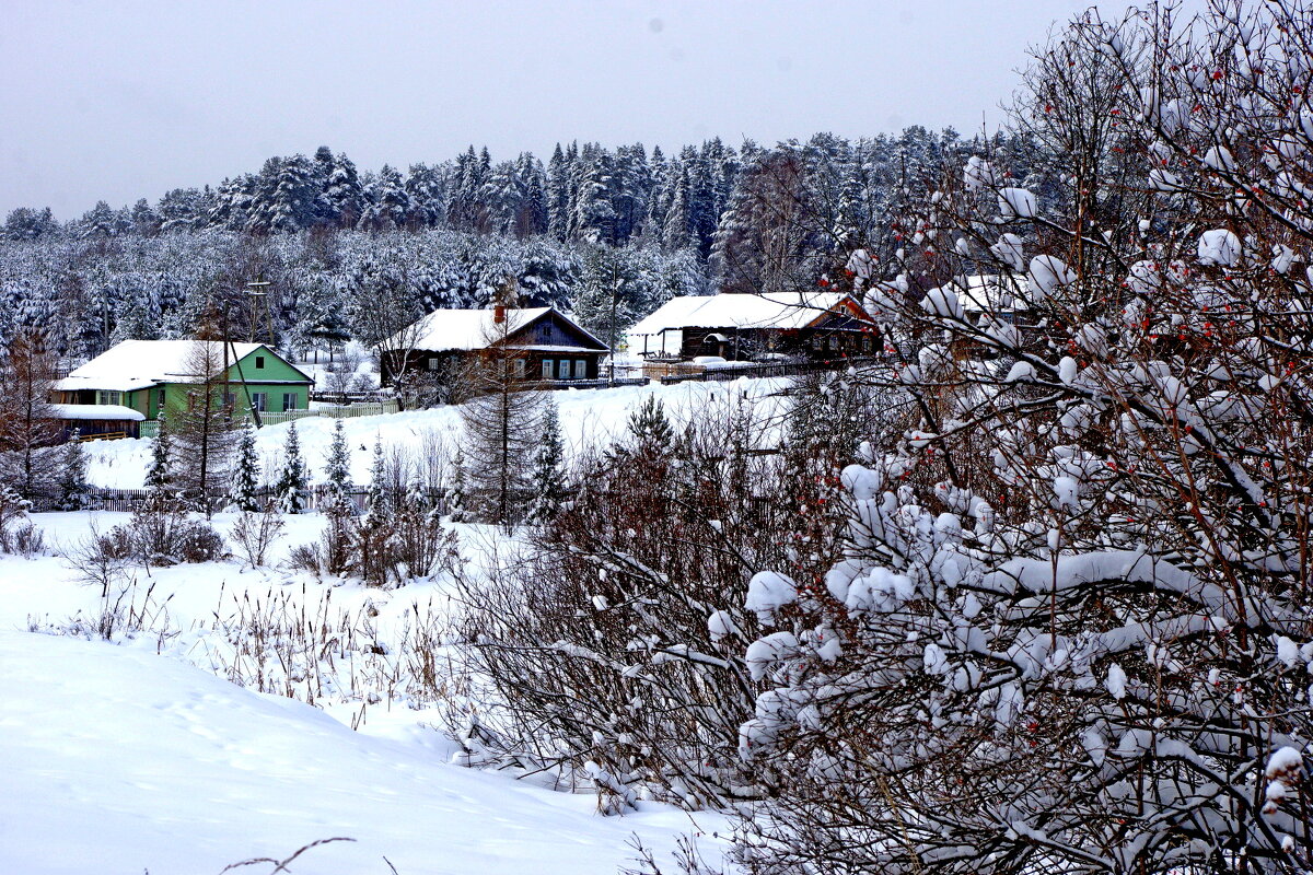 Зима  в  деревне - Сергей 