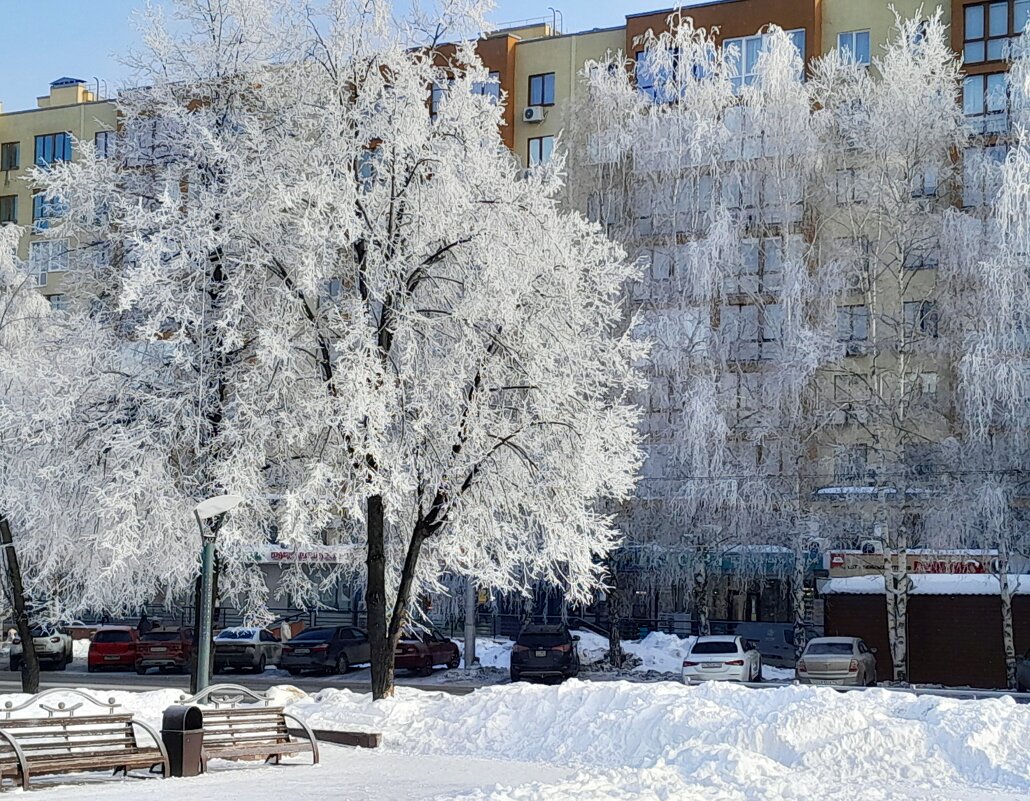 Картинки февраля - ирина 
