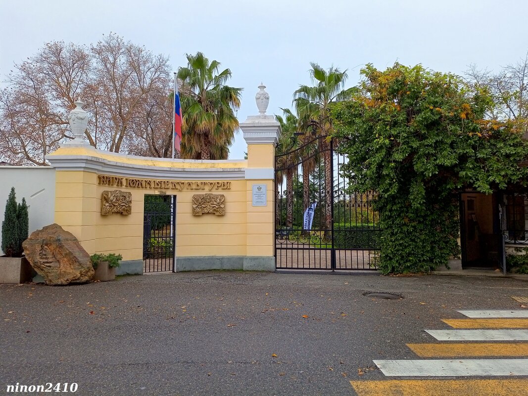 Адлер. Дендропарк "Южные культуры" - Нина Бутко Адлер. Дендропарк "Южные культуры" - Нина Бутко