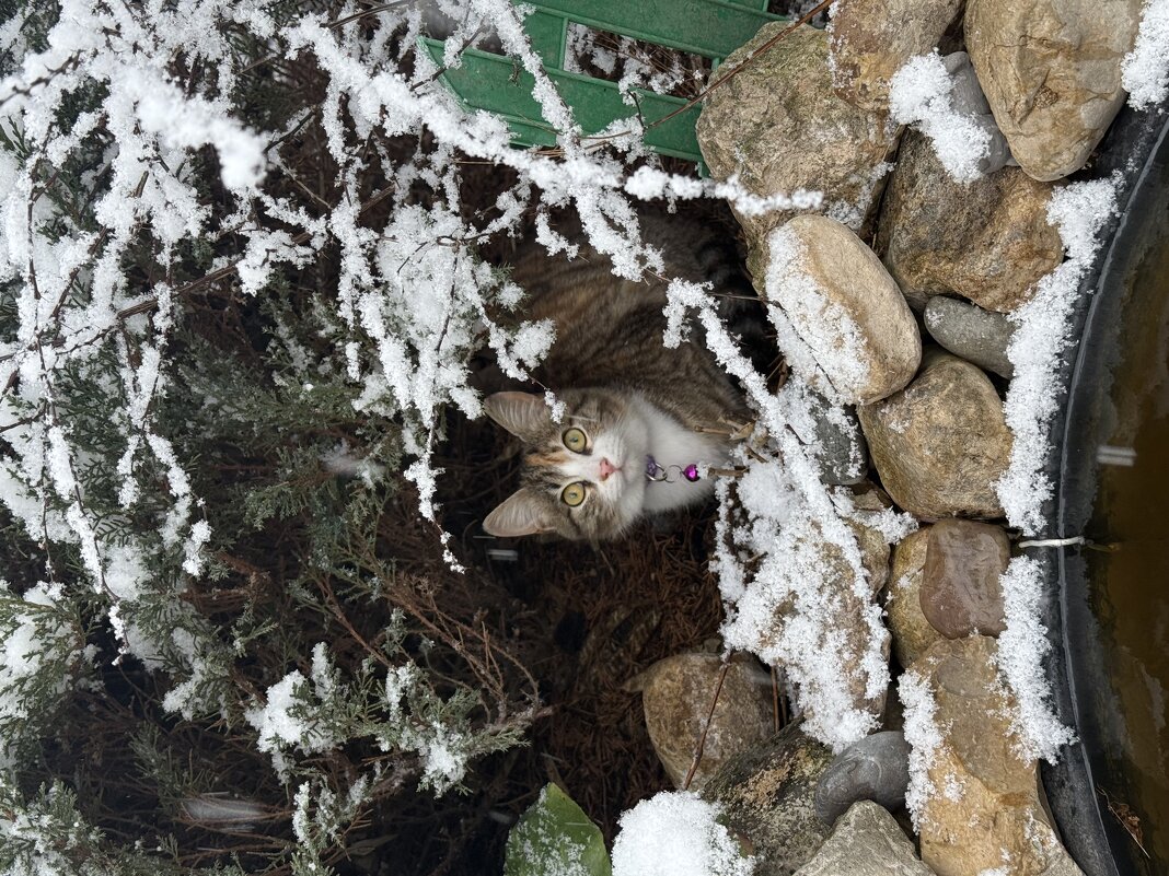 Маруся. - Валентина .