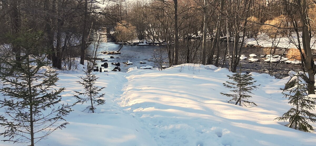 Сестрорецк - Наталья Герасимова Сестрорецк - Наталья Герасимова