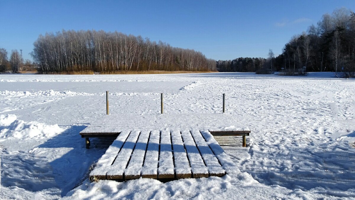 Картинка зимы - Милешкин Владимир Алексеевич 