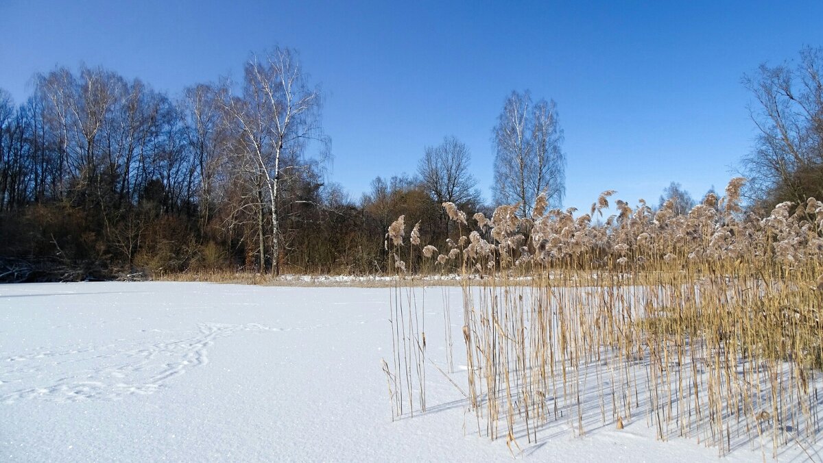 Февраль на Смоленщине (репортаж из поездок по области). - Милешкин Владимир Алексеевич 