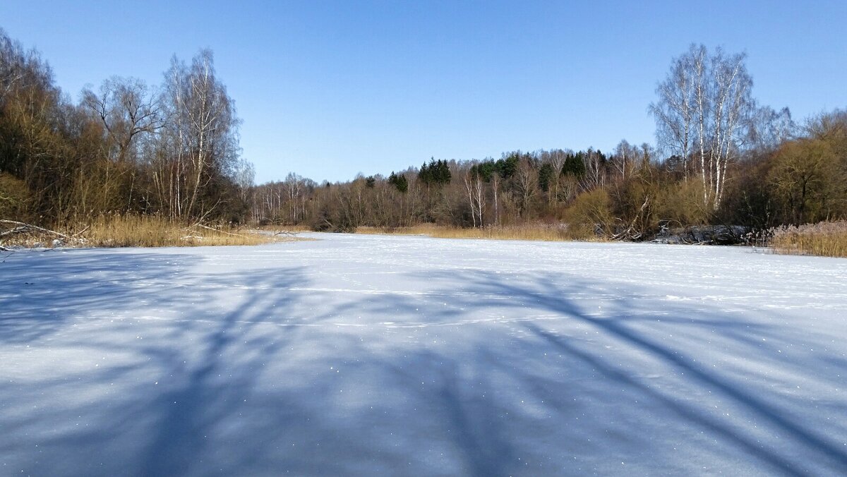 Свет и тени - Милешкин Владимир Алексеевич Свет и тени - Милешкин Владимир Алексеевич