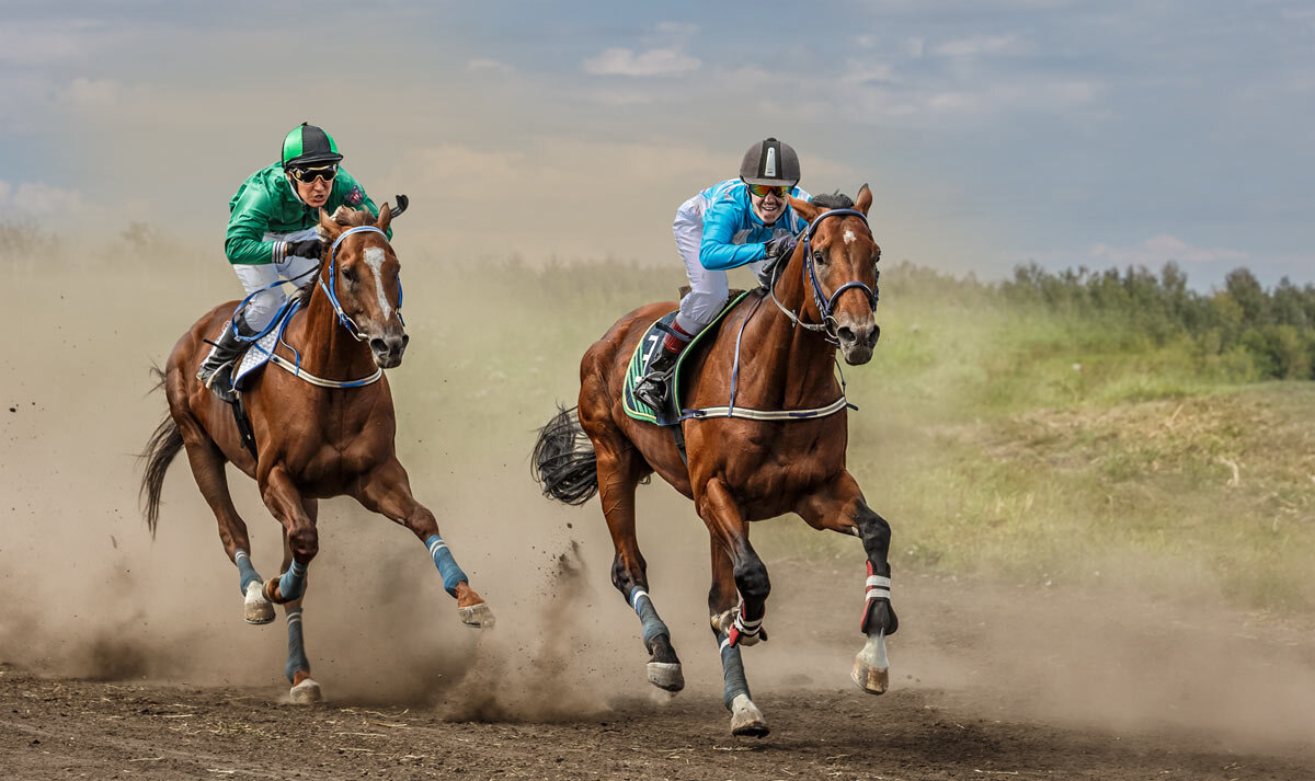 Скачки - SanSan 