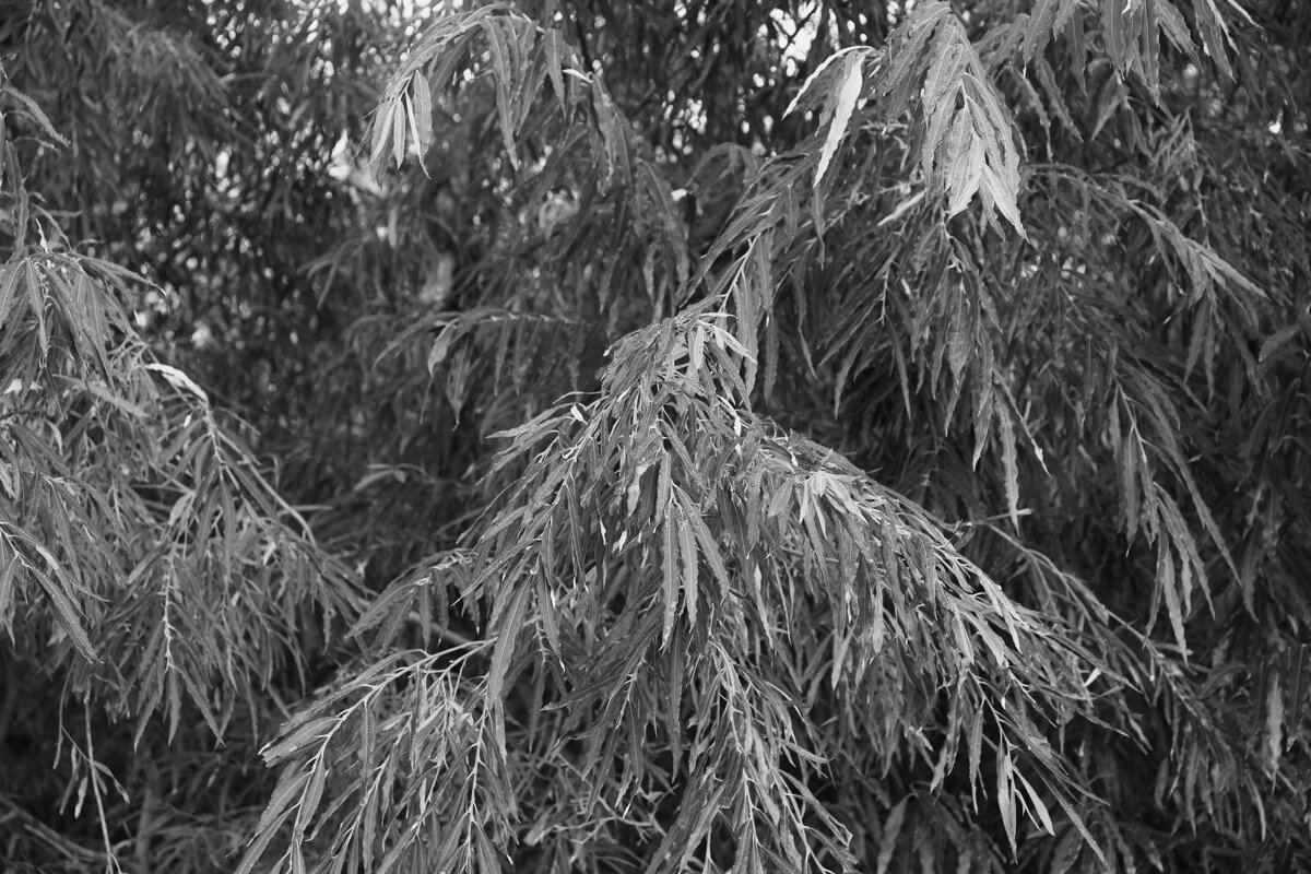 Название отсутствует - Денис Безногов Название отсутствует - Денис Безногов