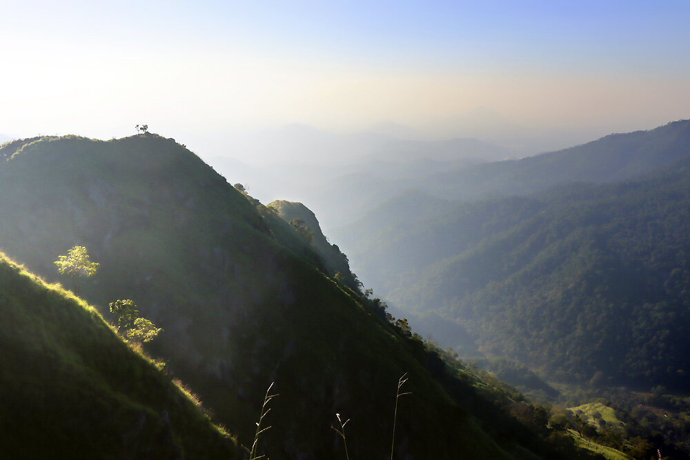 Магия начинающегося дня... - Галина Ильясова Магия начинающегося дня... - Галина Ильясова