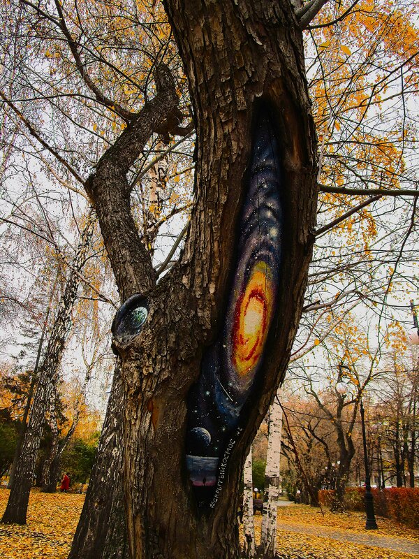 ПРО Екатеринбург - Елена Шаламова