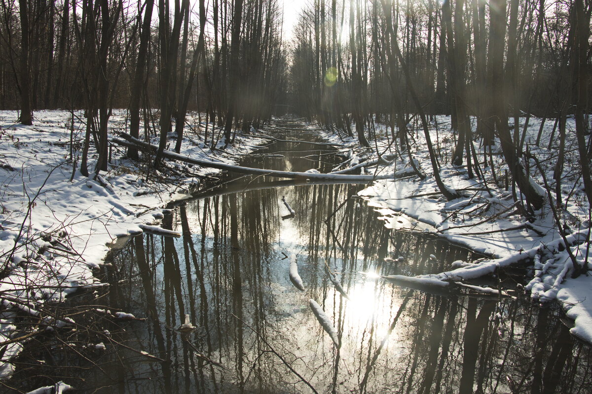 Запахло весной - Владимир Зырянов