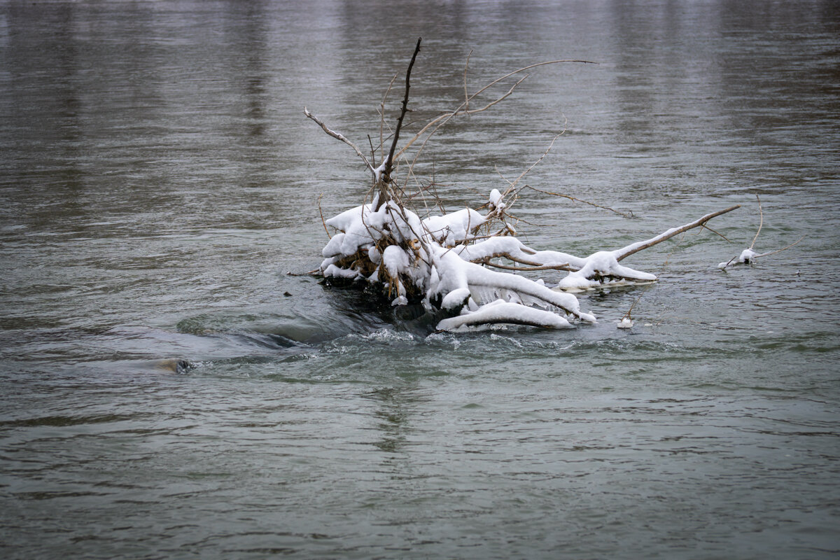 В конце зимы пришла зима - Игорь Сикорский В конце зимы пришла зима - Игорь Сикорский