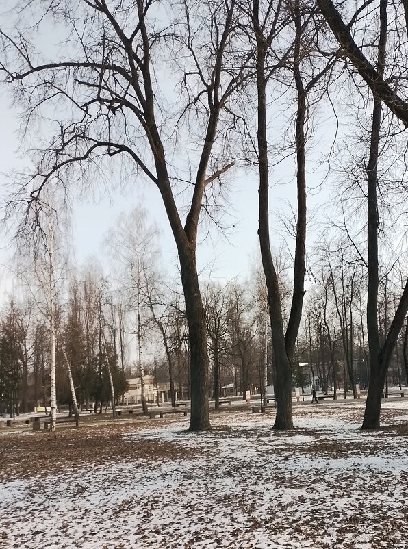 *** - Валентина Береснева