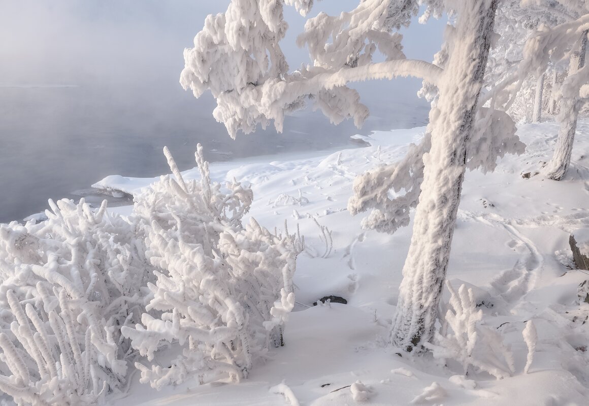 Когда стояли морозы - Марина Фомина. Когда стояли морозы - Марина Фомина.