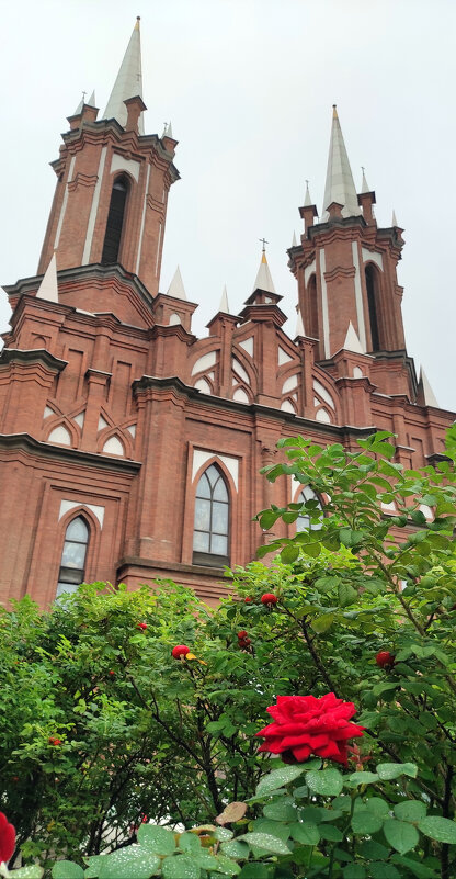 Символы - red-cat.25 red-cat.25