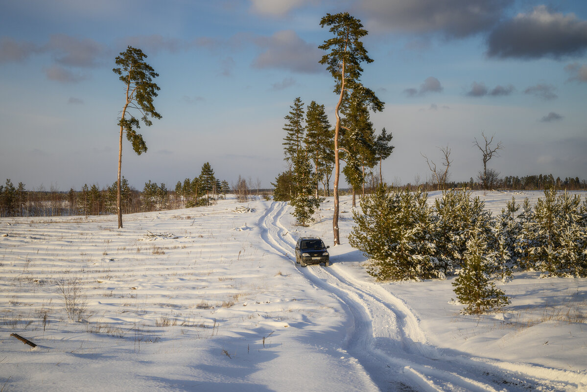 Меж сосен одиноких - Валерий VRN Меж сосен одиноких - Валерий VRN