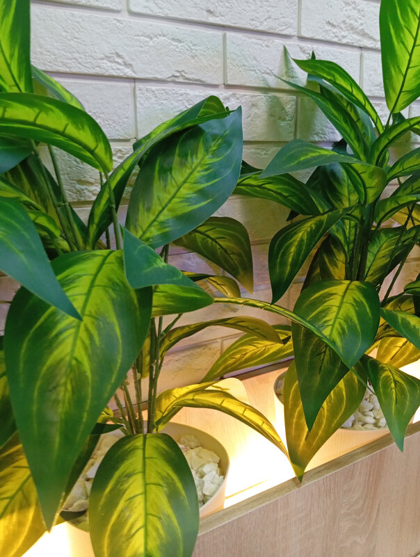 Кафе феник - Светлана Мишенёва