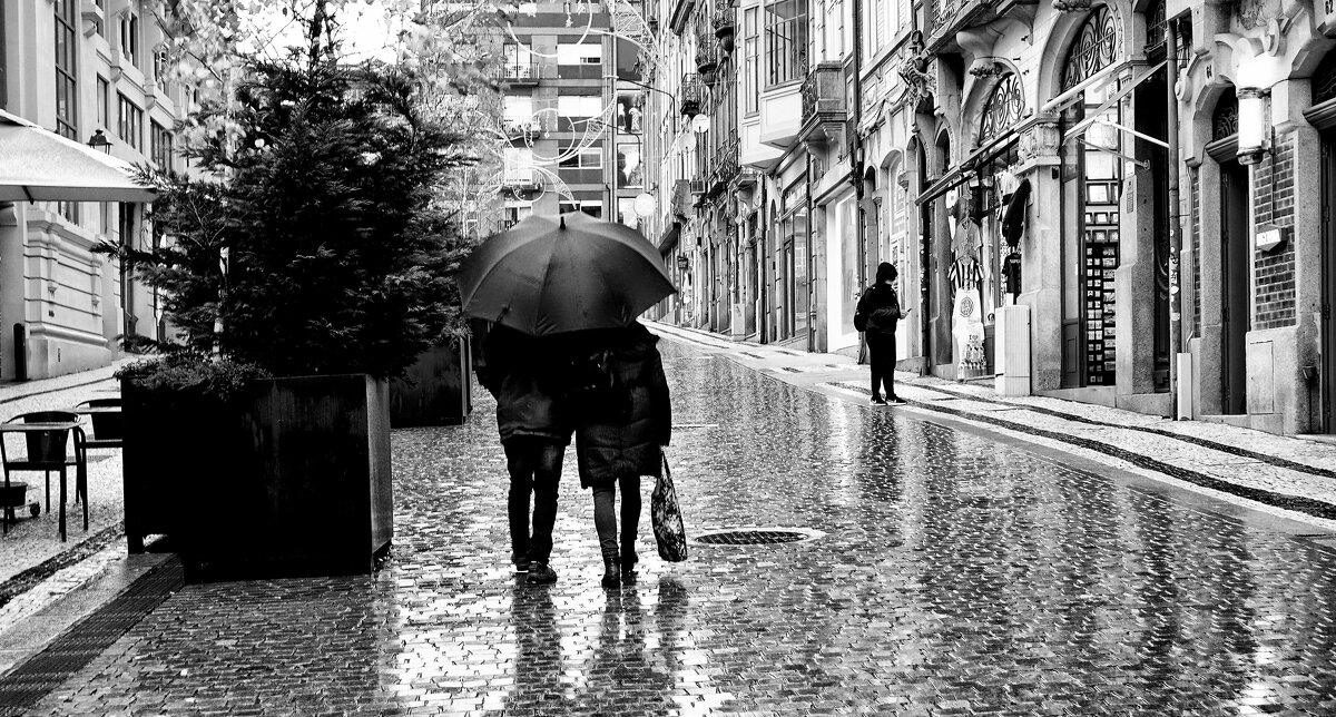 Дождливый день... - Elena Ророva Дождливый день... - Elena Ророva