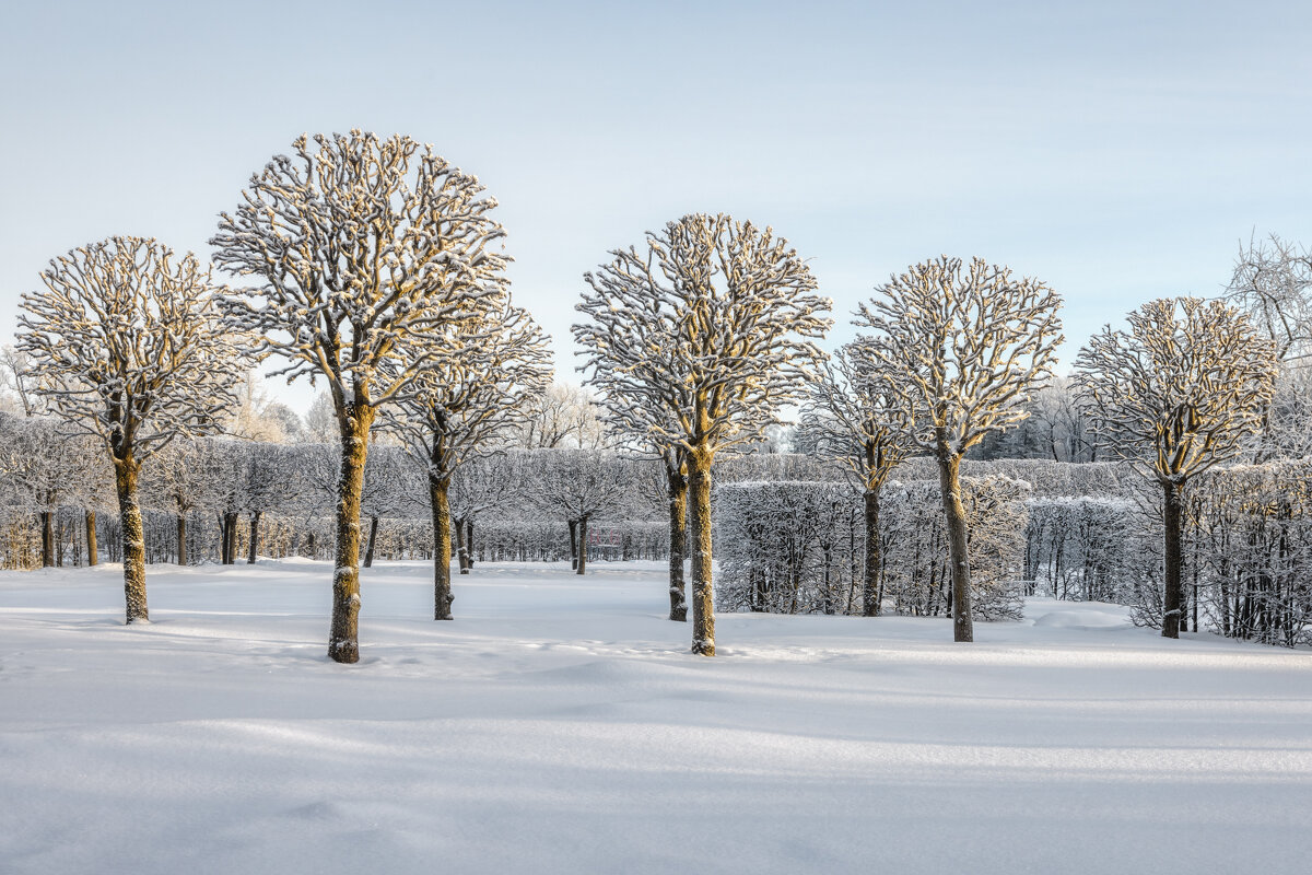 Зима - Владимир Колесников