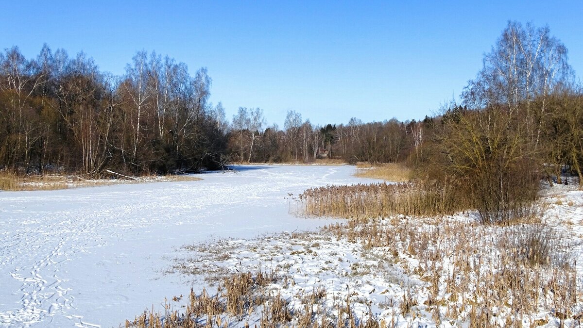 Февраль - Милешкин Владимир Алексеевич 