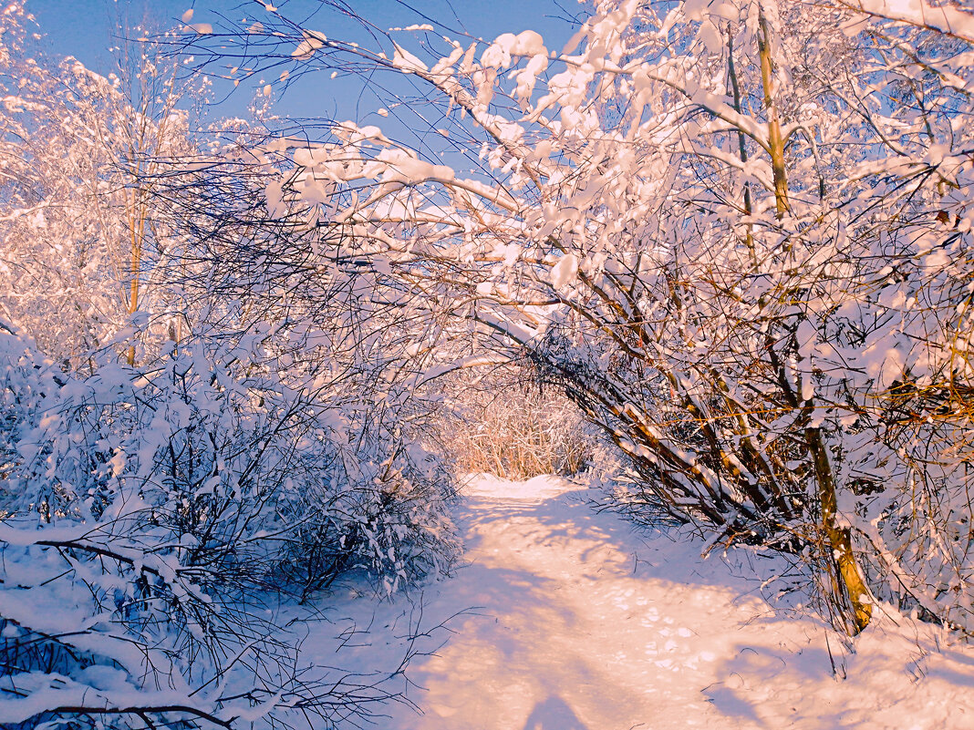 Снежные арки - Сергей Кочнев